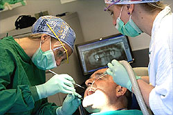 Kroatien Zahnimplantati